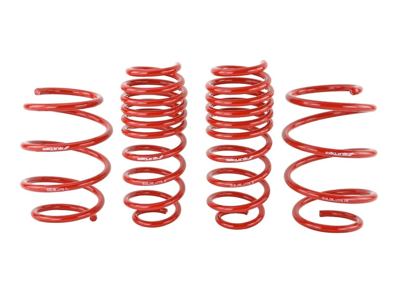 Skunk2 Lowering Springs - Honda Civic (2016-2018), view 4