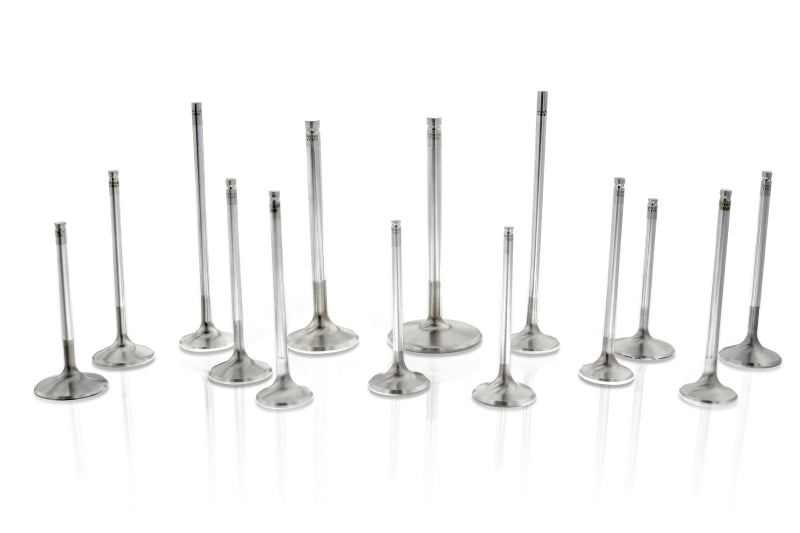 Ferrea Chevy SB 1.6in 11/32 5.300in 0.25in 14 Deg S-Flo Competition Plus Exhaust Valve - Set of 8.