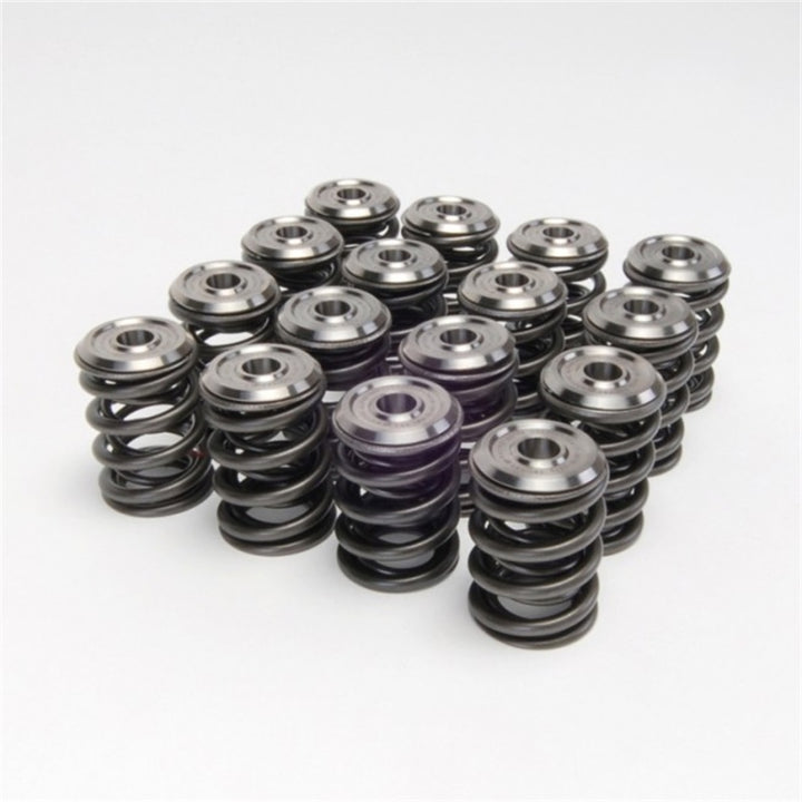 Skunk2 Alpha Series Honda/Acura B Series Valve Spring and Titanium Retainer Kit.