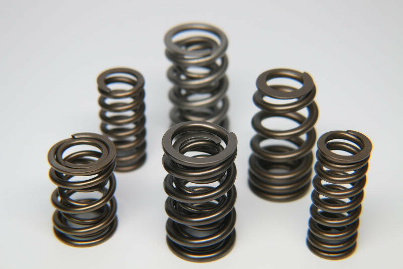 Ferrea GM L5 High Pressure Dual Valve Spring - Set of 20 (Special Applications).