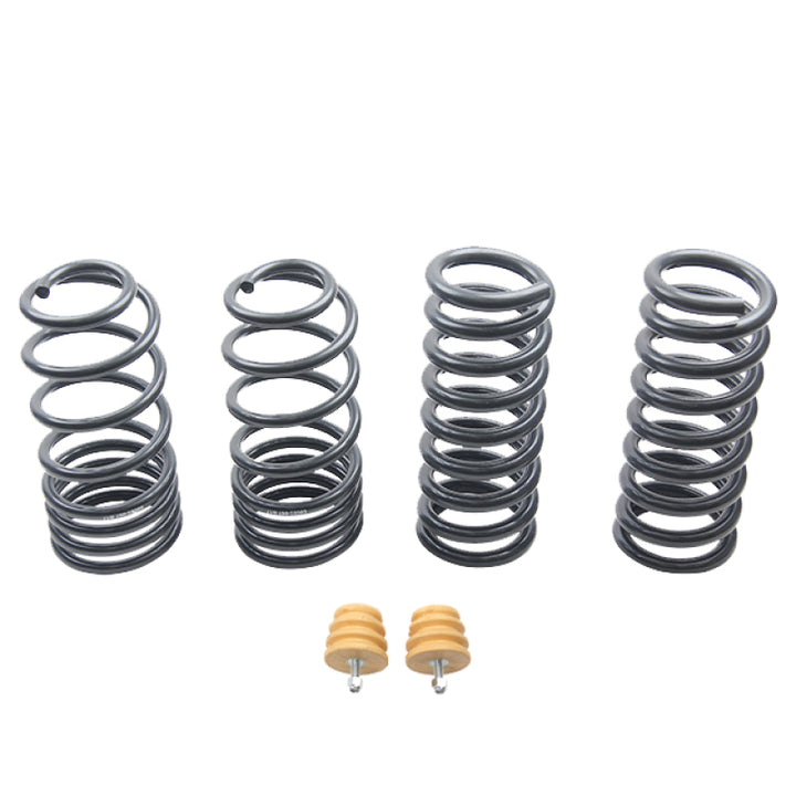 ST Sport-tech Lowering Springs Ford Mustang 3rd gen. / 4th gen..