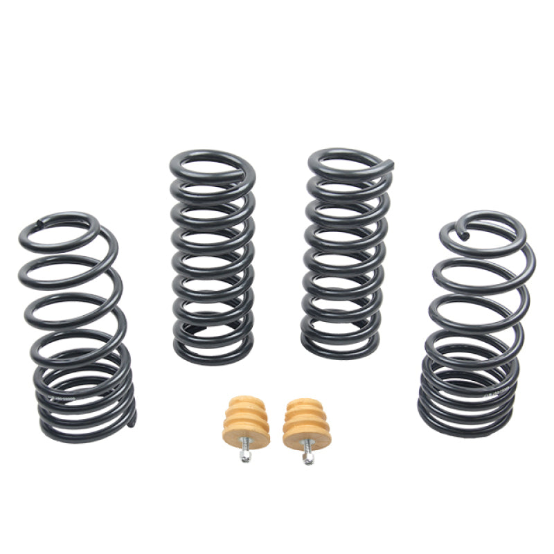 ST Sport-tech Lowering Springs Ford Mustang 3rd gen. / 4th gen..