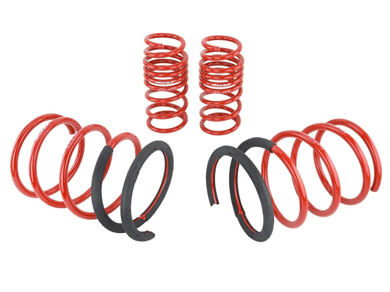 Skunk2 02-04 Acura RSX Lowering Springs (2.25in - 2.00in.) (Set of 4).