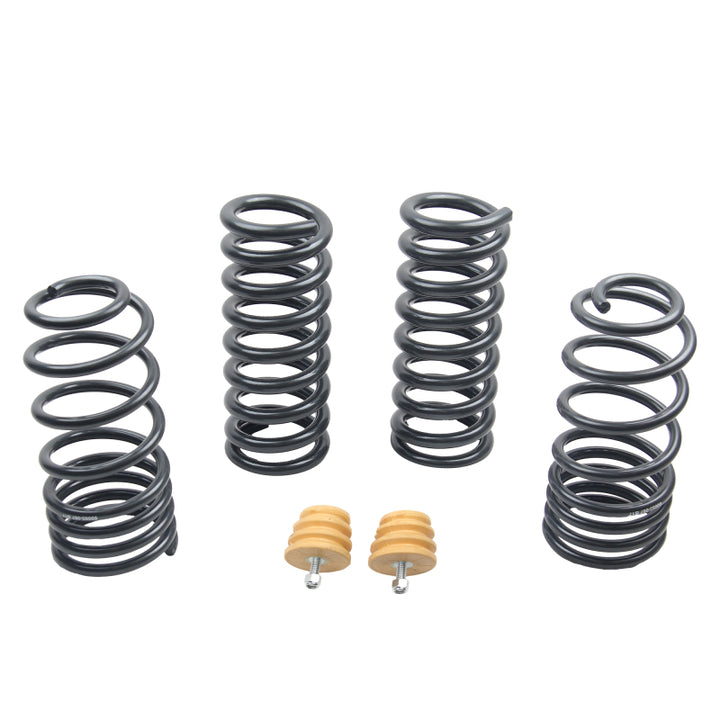 ST Sport-tech Lowering Springs Ford Mustang 3rd gen. / 4th gen..