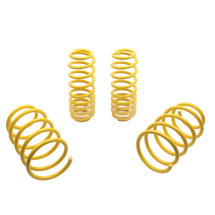 ST Sport-tech Lowering Springs Ford Mustang 5th gen..