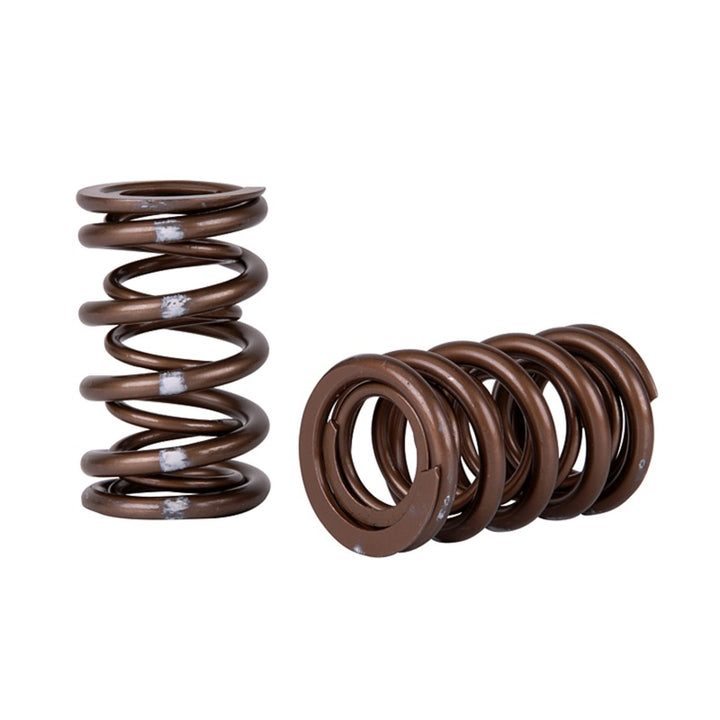 Skunk2 Pro Series Honda/Acura K-Series i-VTEC XP Valve Spring Set (Dual Springs).