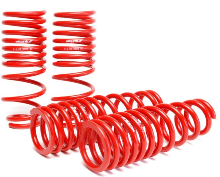 Skunk2 94-01 Acura Integra Lowering Springs (2.50in - 2.25in.) (Set of 4).