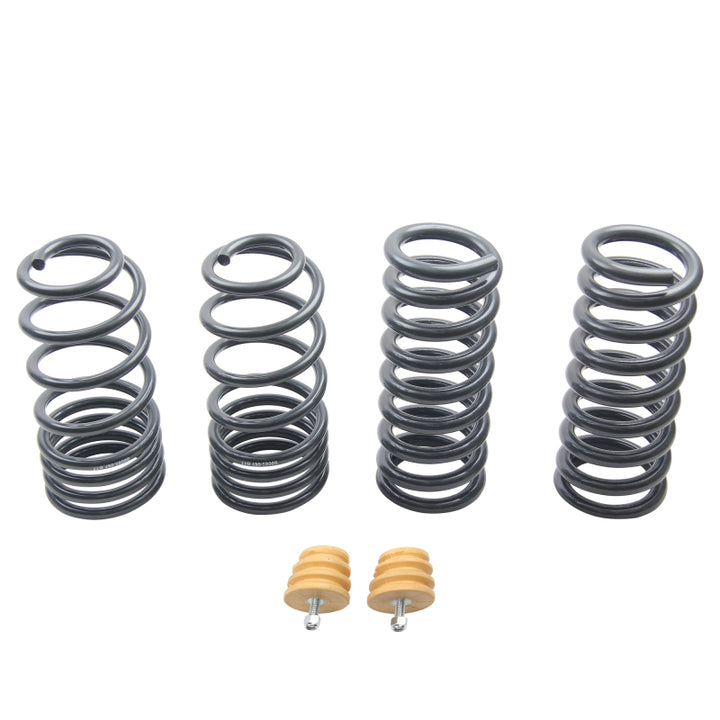 ST Sport-tech Lowering Springs Ford Mustang 3rd gen. / 4th gen..