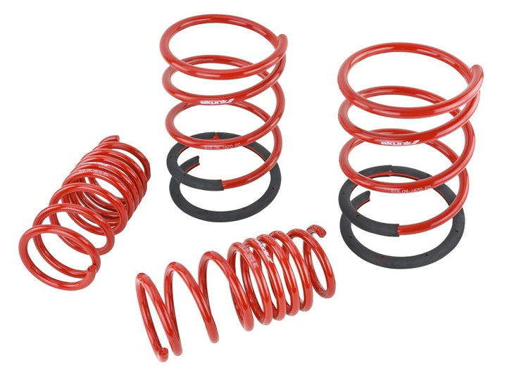 Skunk2 02-04 Acura RSX Lowering Springs (2.25in - 2.00in.) (Set of 4).